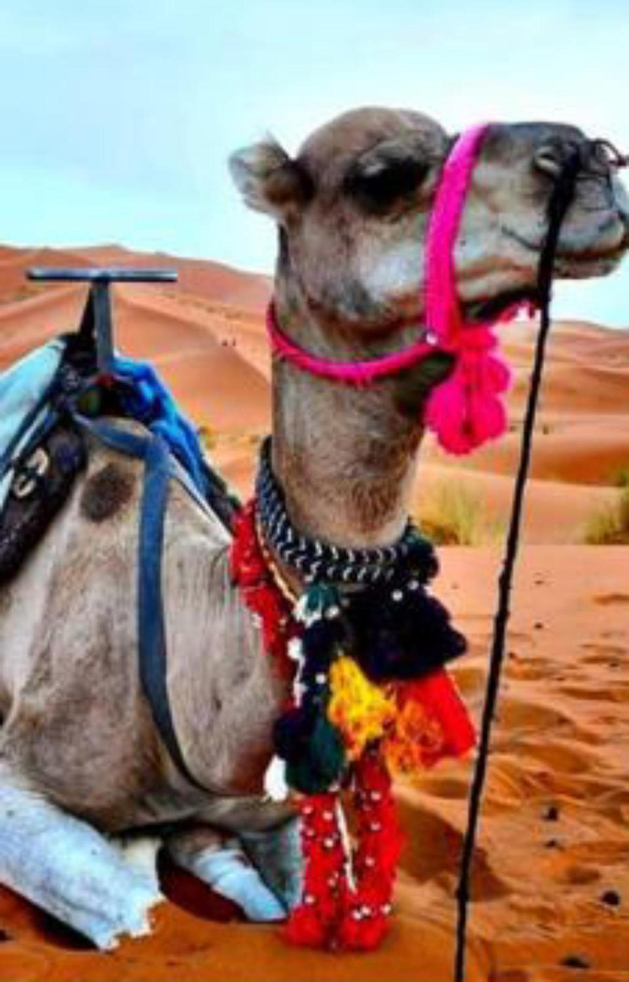 Luxury Desert Camp Merzouga Eksteriør bilde